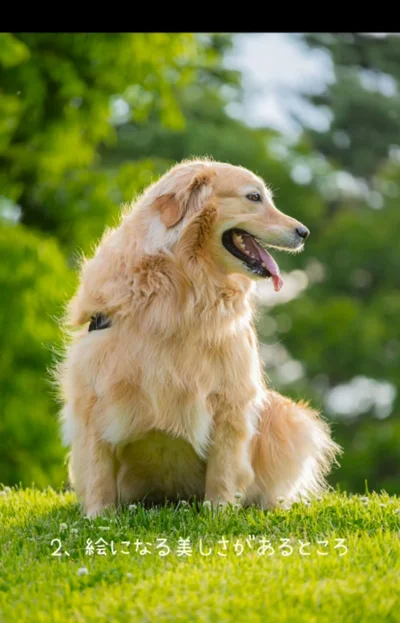 絵になる美しさがある▶お茶目な表情も！（⇒次へ）