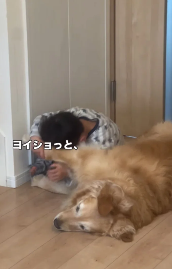 ワンちゃんの腕を持ち上げて懐に入り込む男の子(⇒次へ)