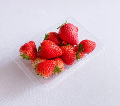 チョコムースケーキ、どれかわかりますか？▶︎実は中身もすごい…（⇒次へ）