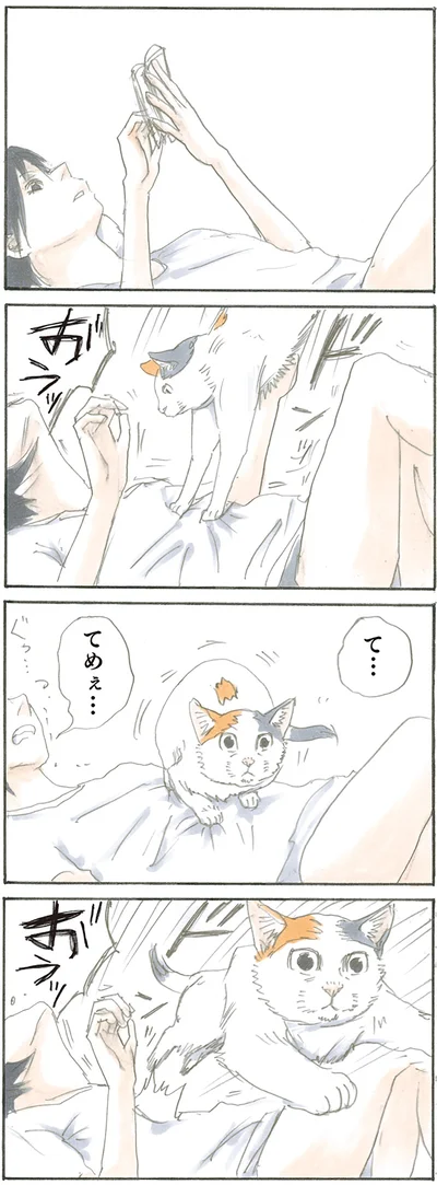 寝っ転がっていると…