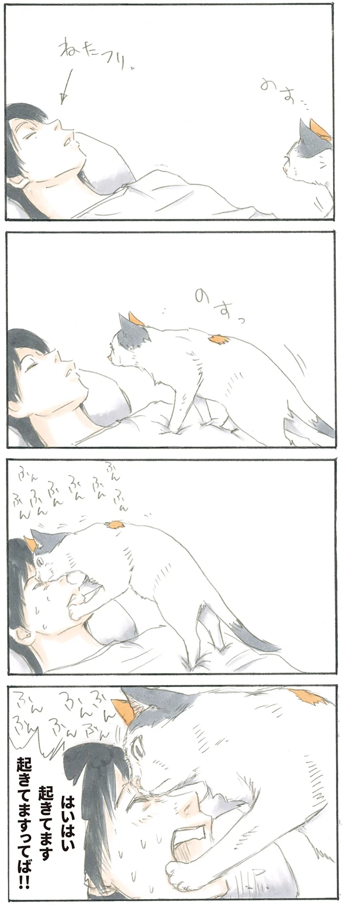 猫に寝たフリは通用しない