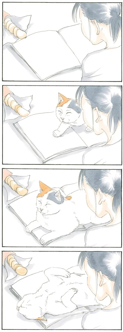 『拾い猫のモチャ』より