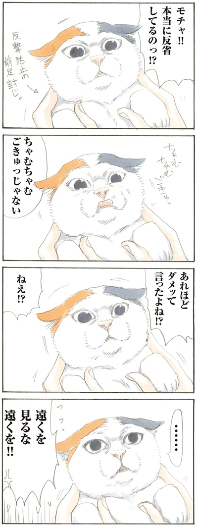 『拾い猫のモチャ』より