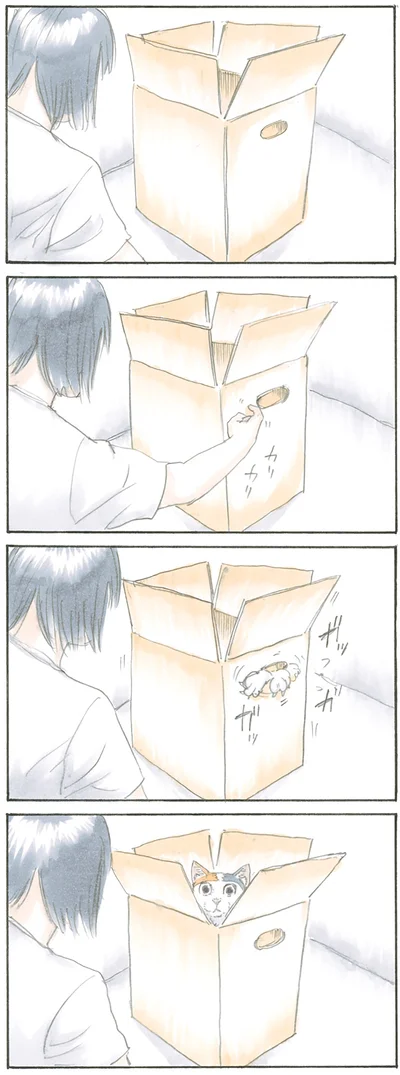 『拾い猫のモチャ』より