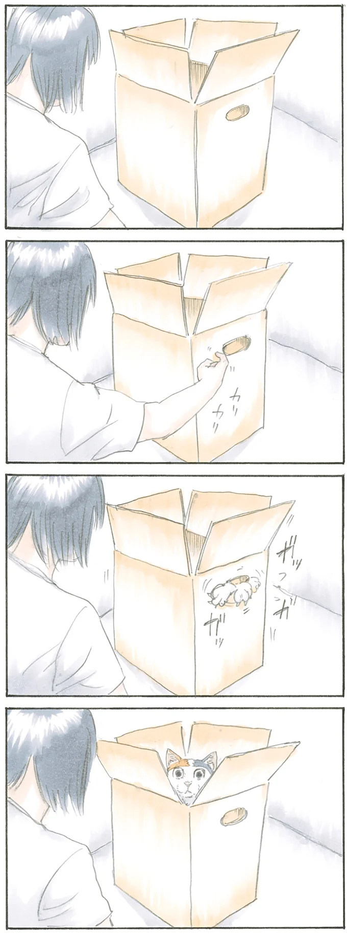 『拾い猫のモチャ』より