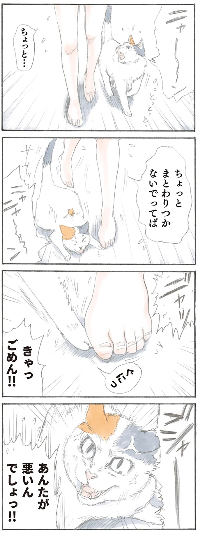 『拾い猫のモチャ』より