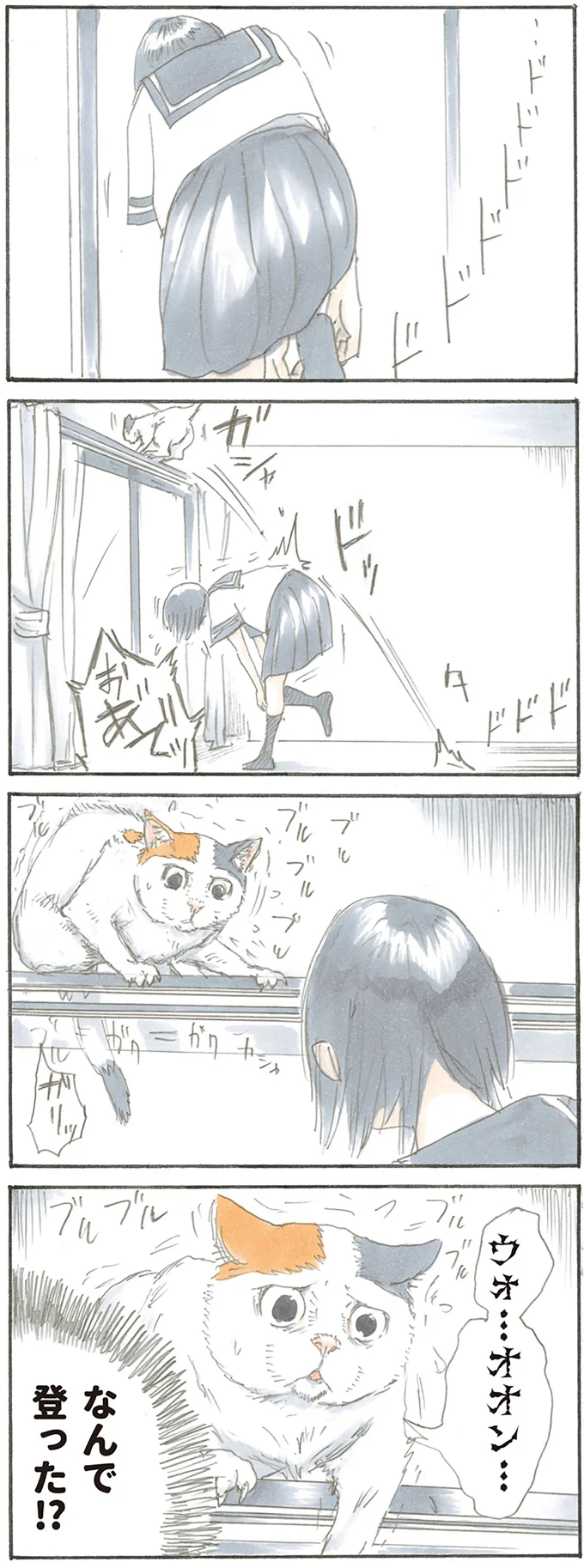 『拾い猫のモチャ』より