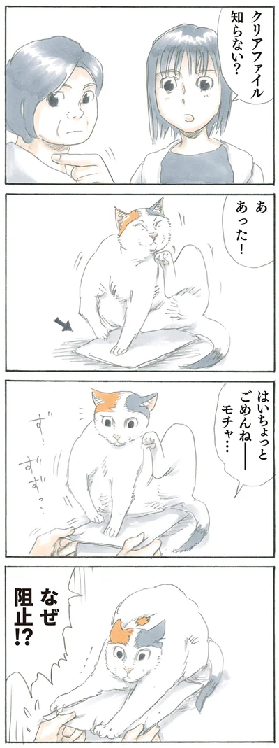 『拾い猫のモチャ』より