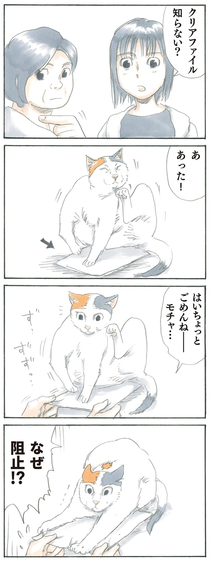 『拾い猫のモチャ』より
