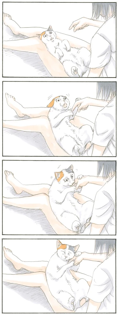 『拾い猫のモチャ』より