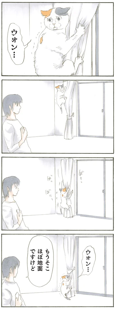 『拾い猫のモチャ』より