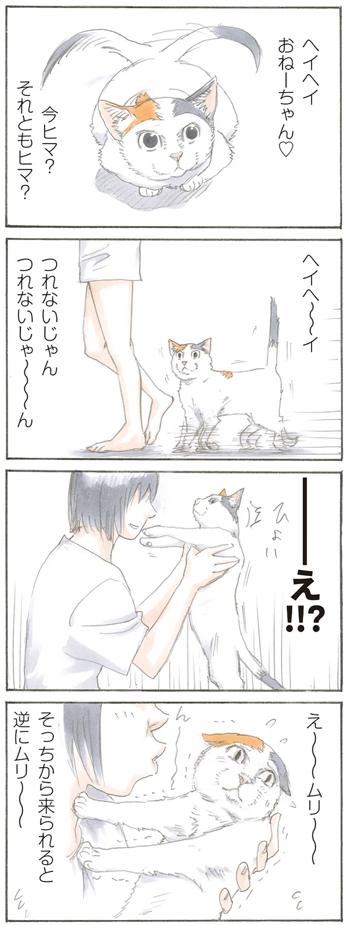 『拾い猫のモチャ』より