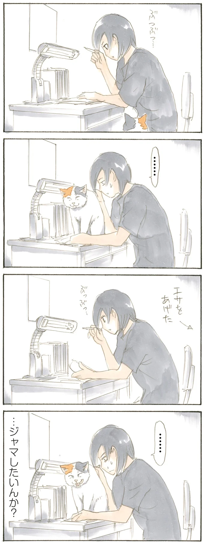 『拾い猫のモチャ』より