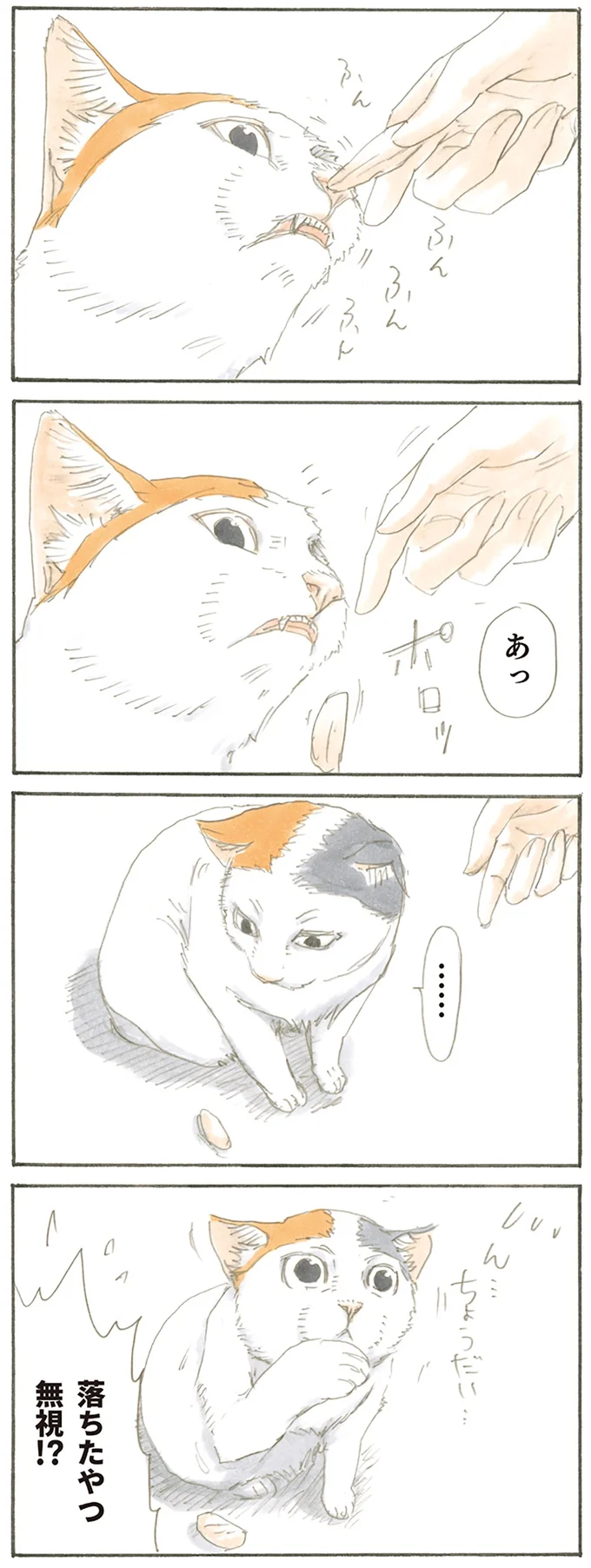 『拾い猫のモチャ』より