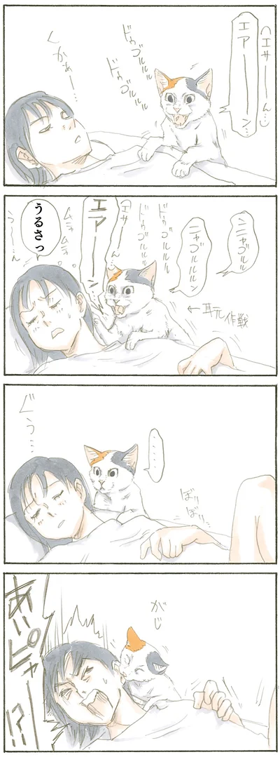『拾い猫のモチャ』より