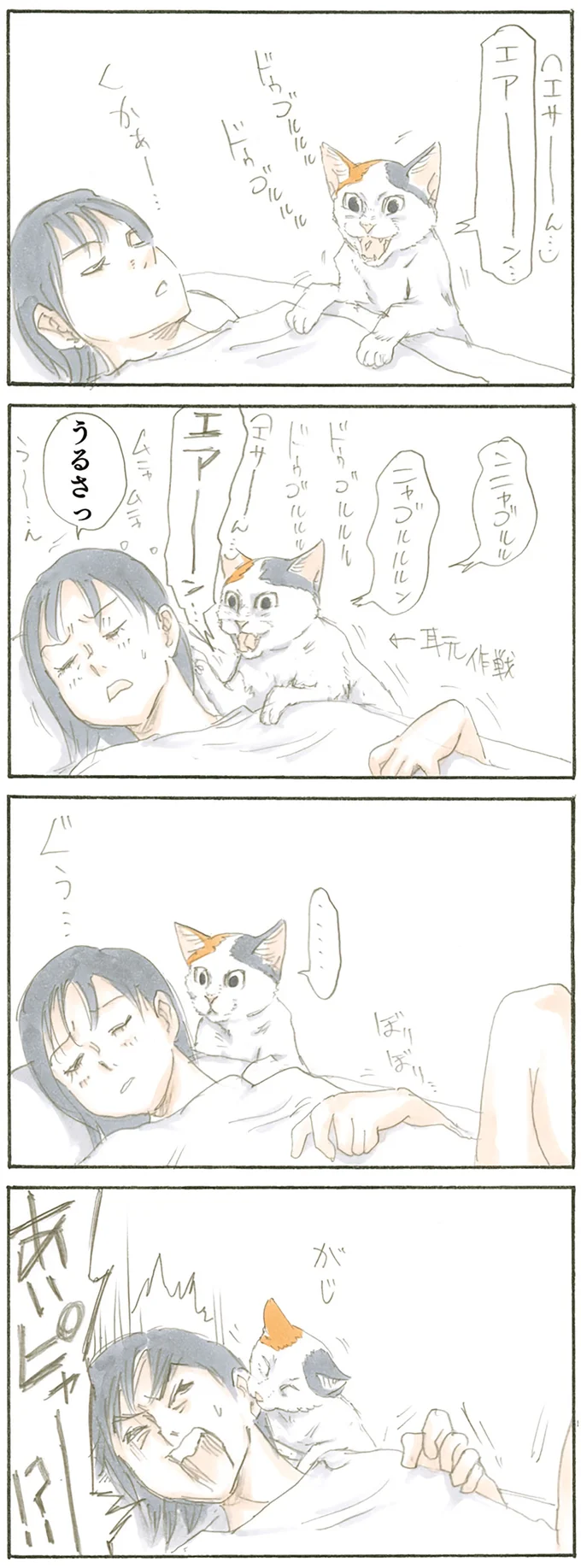 『拾い猫のモチャ』より