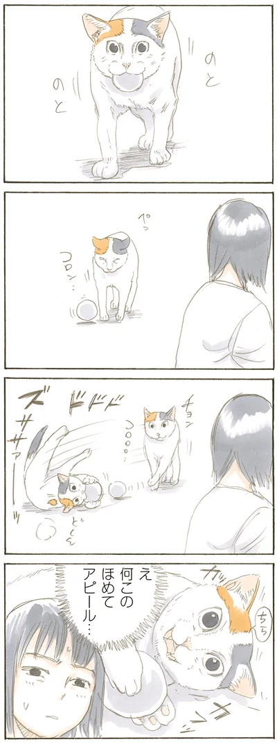 『拾い猫のモチャ』より