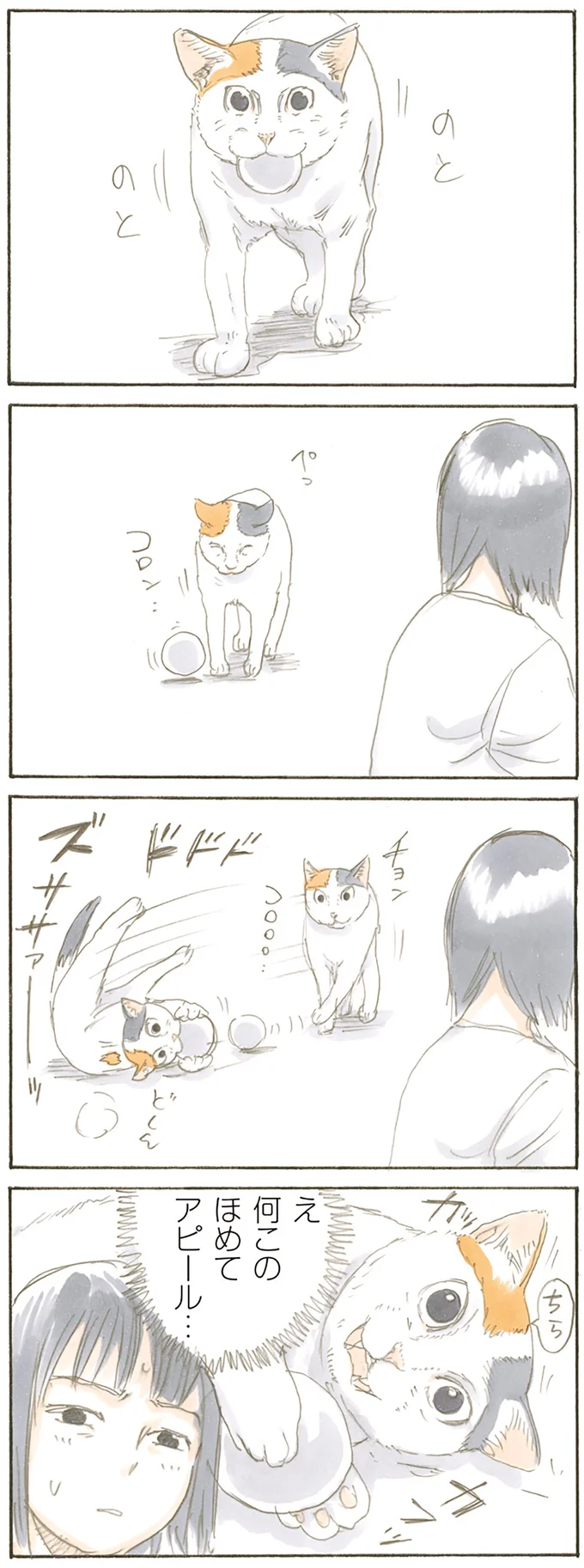 『拾い猫のモチャ』より