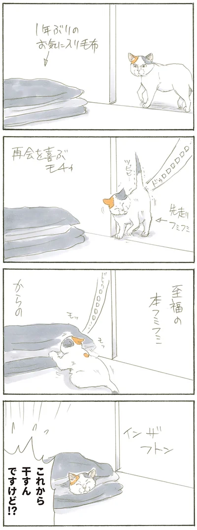 『拾い猫のモチャ』より