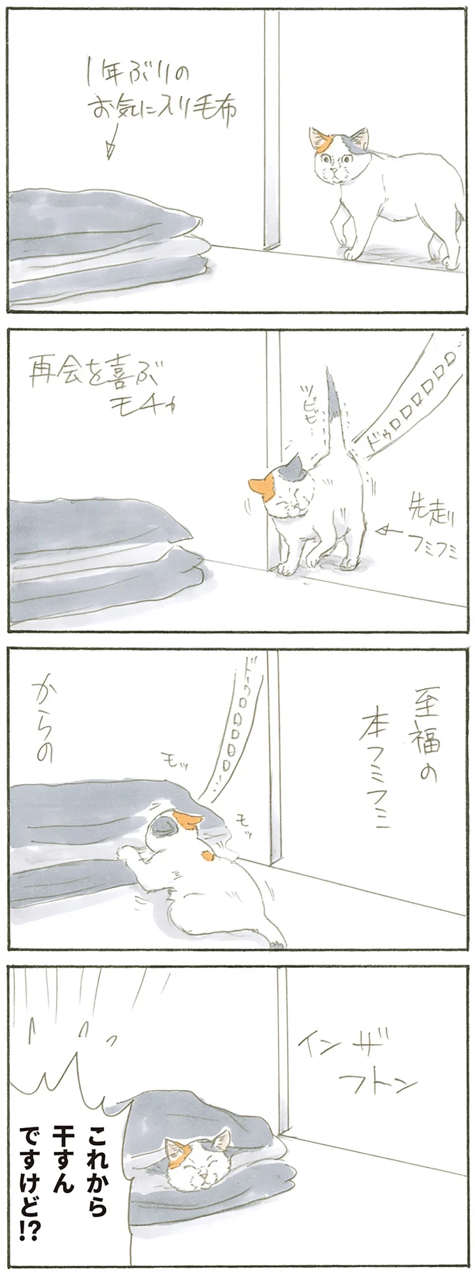 『拾い猫のモチャ』より