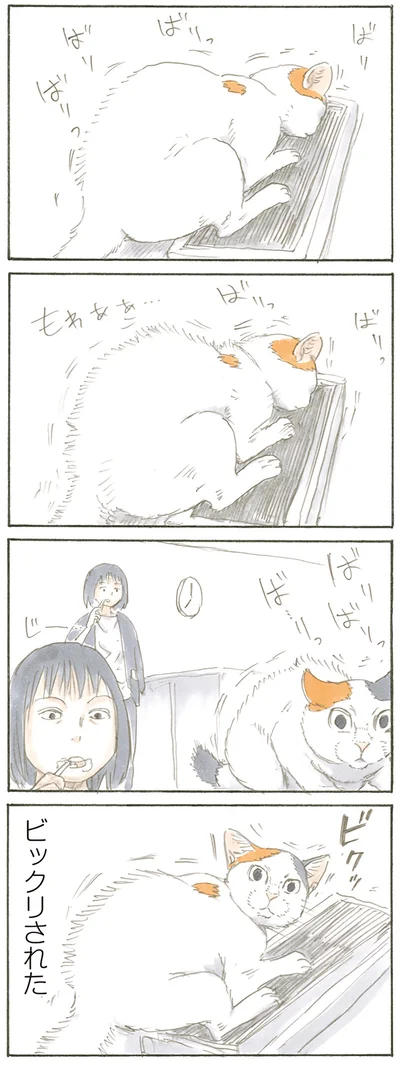 『拾い猫のモチャ』より