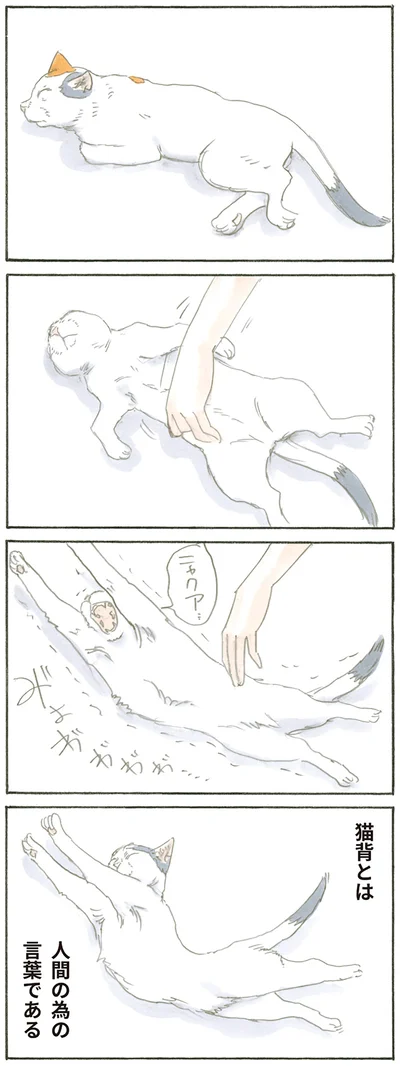 『拾い猫のモチャ』より