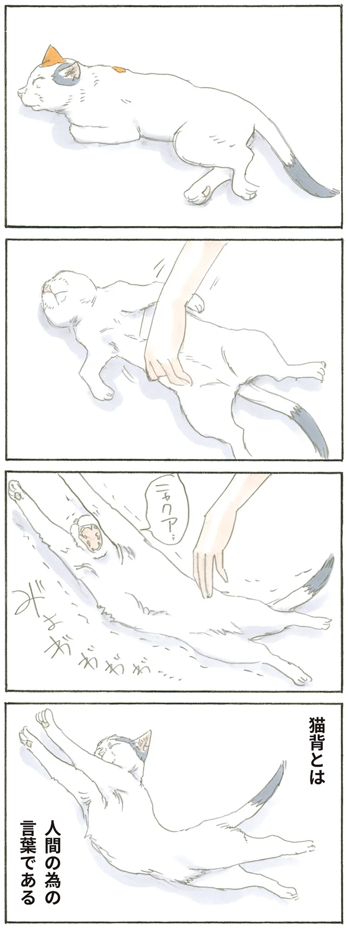 『拾い猫のモチャ』より