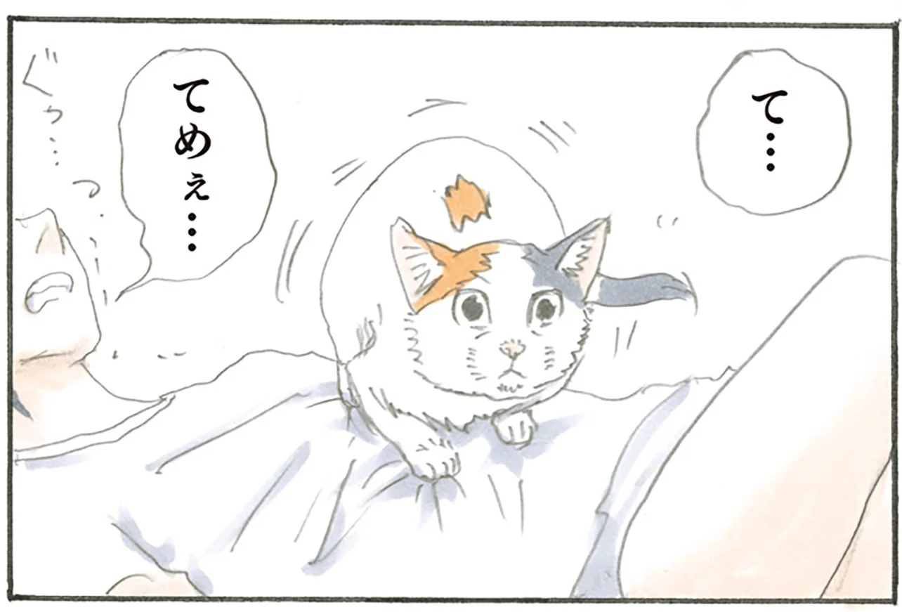 リラックスは許されない!? 飼い主の上にも容赦なくドスンと着地する猫