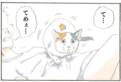 お腹の上にダイブ！からの…