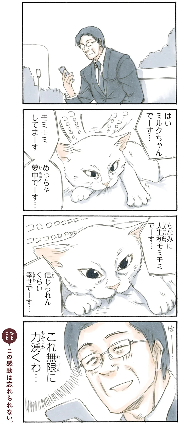 『拾い猫のモチャ2』より