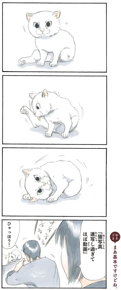 『拾い猫のモチャ2』より