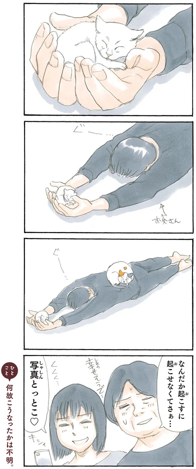 『拾い猫のモチャ2』より