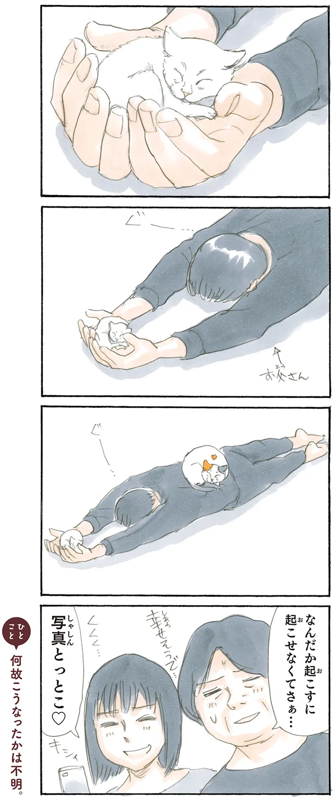 『拾い猫のモチャ2』より