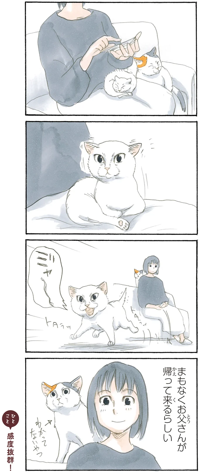 『拾い猫のモチャ2』より