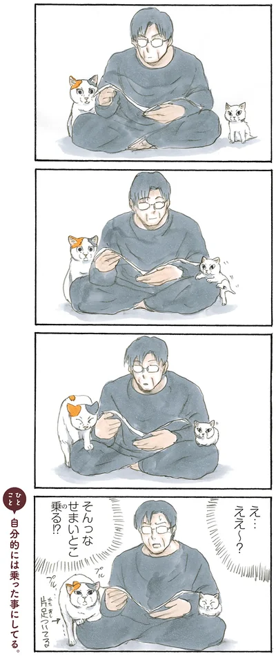 『拾い猫のモチャ2』より