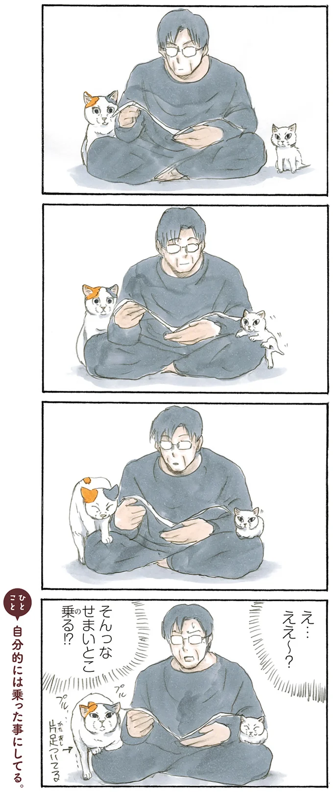 『拾い猫のモチャ2』より