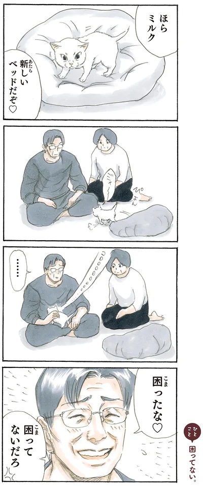 『拾い猫のモチャ2』より