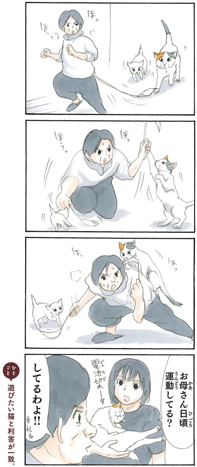 『拾い猫のモチャ2』より