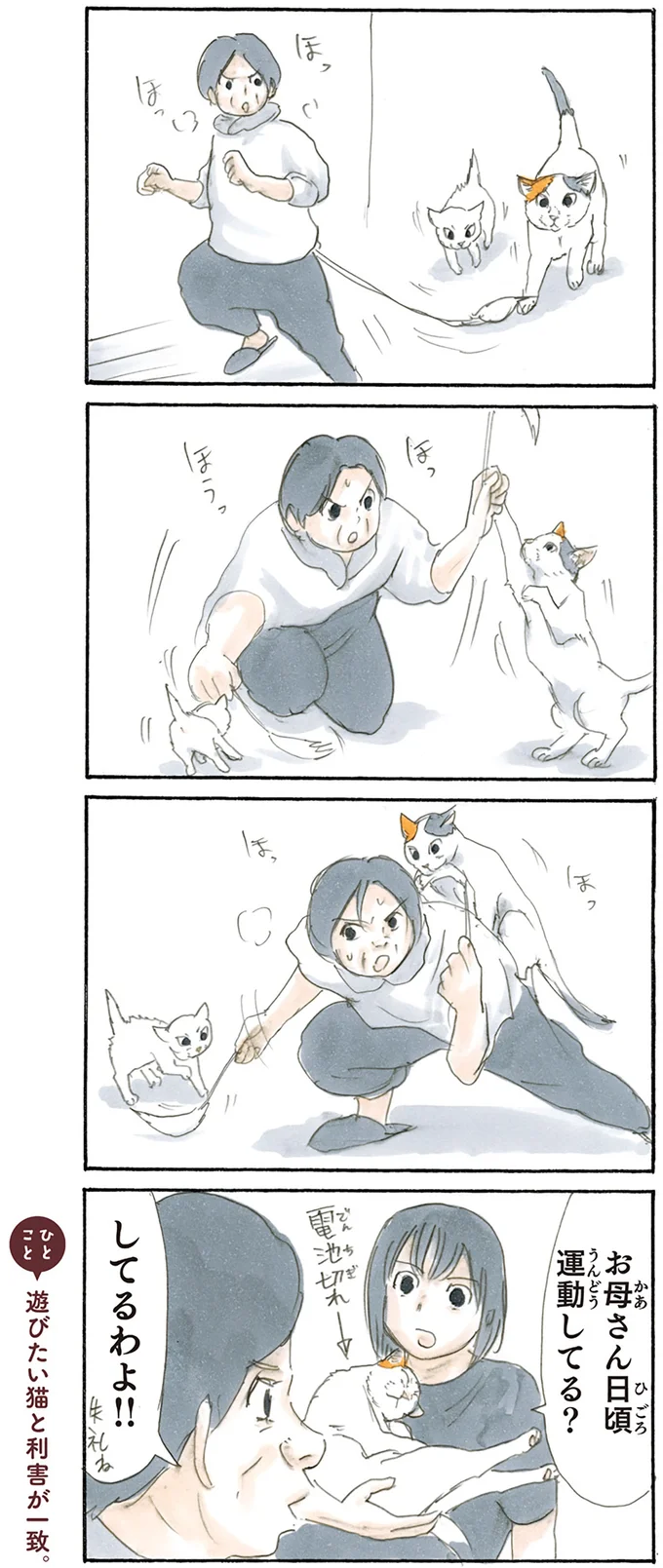 『拾い猫のモチャ2』より