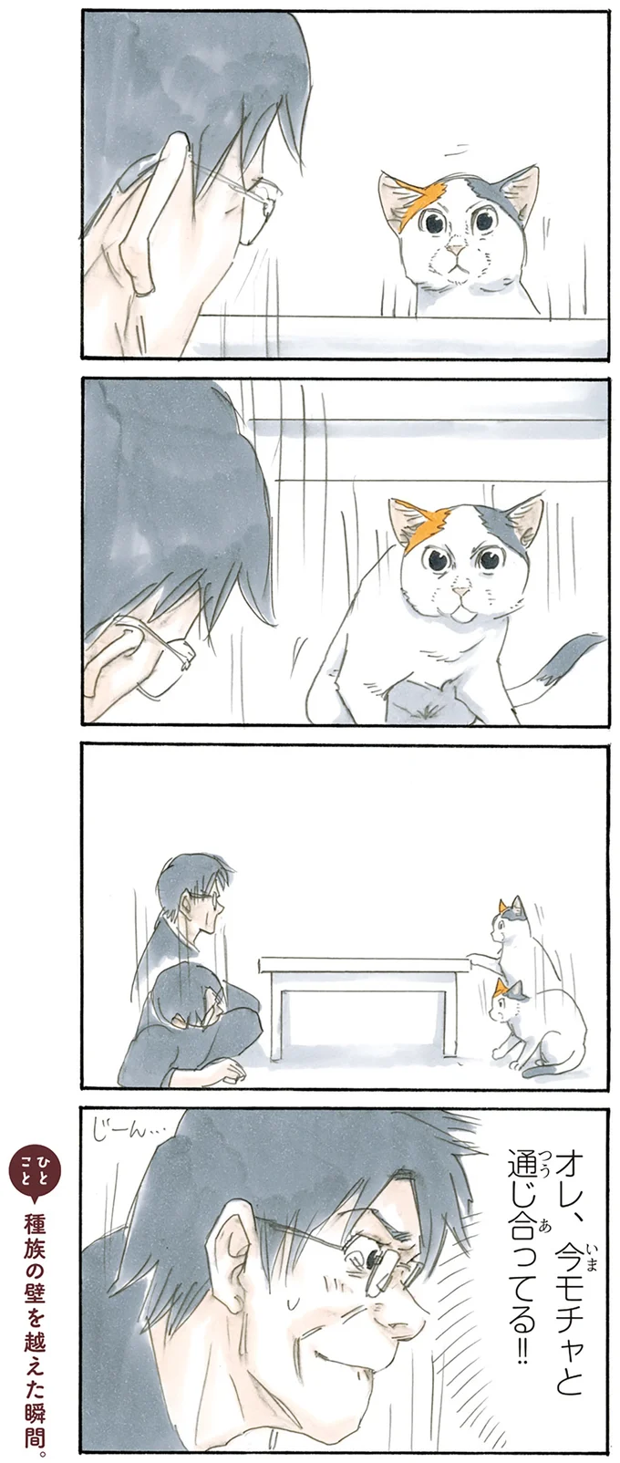 『拾い猫のモチャ2』より