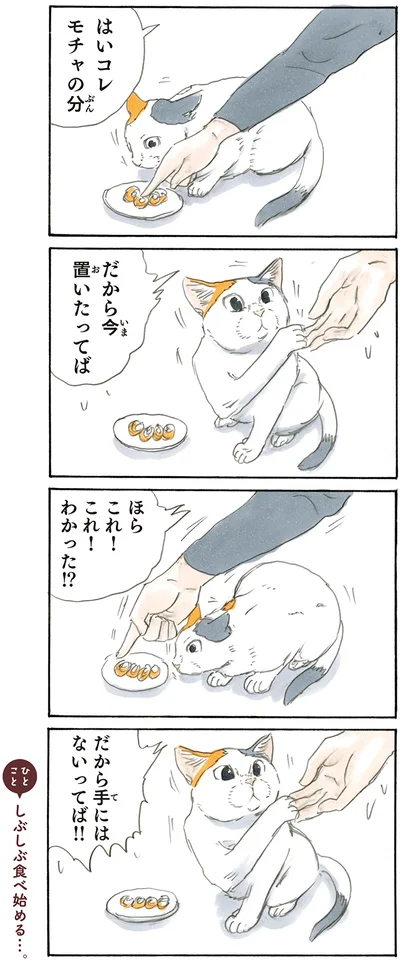 『拾い猫のモチャ2』より