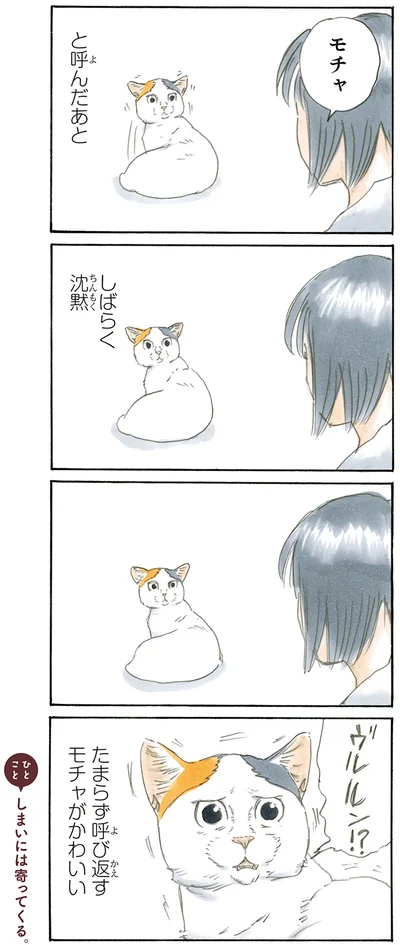 『拾い猫のモチャ2』より