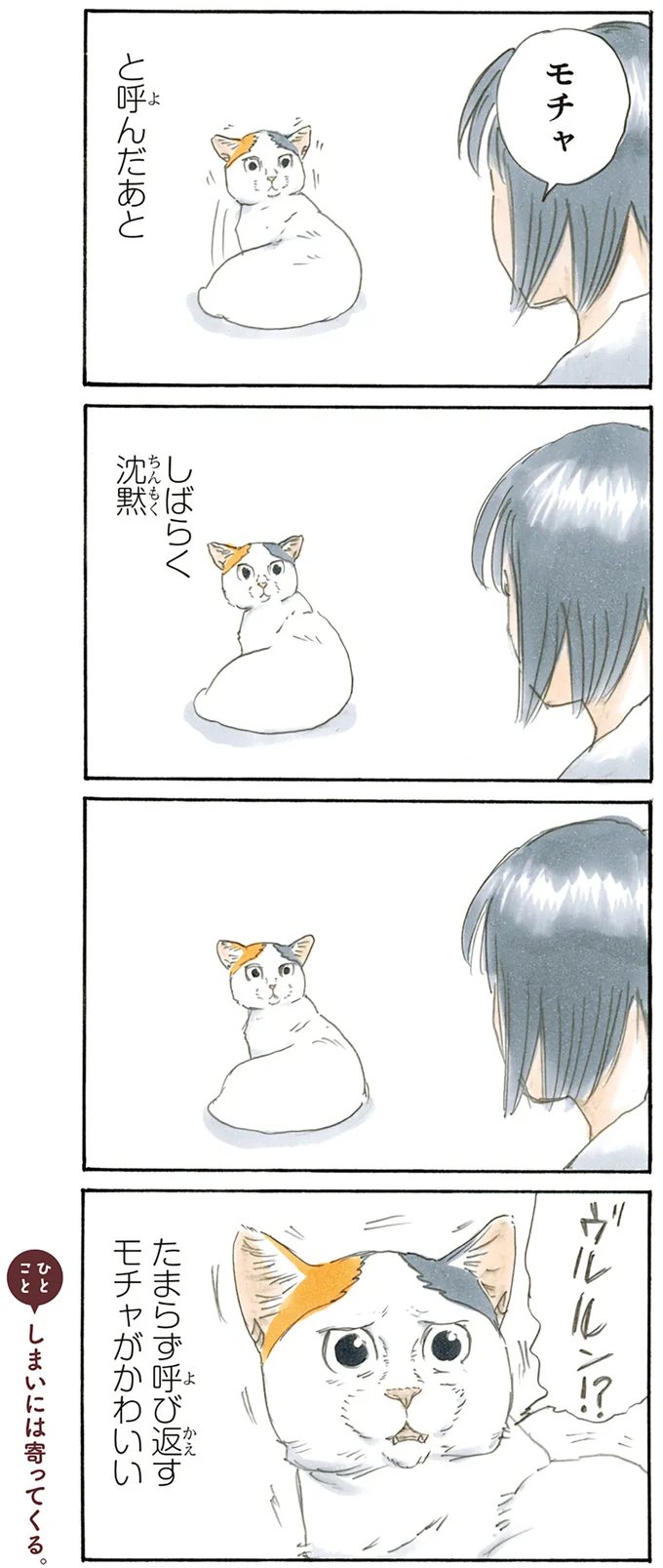 『拾い猫のモチャ2』より