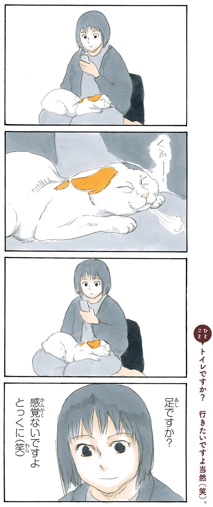 『拾い猫のモチャ2』より