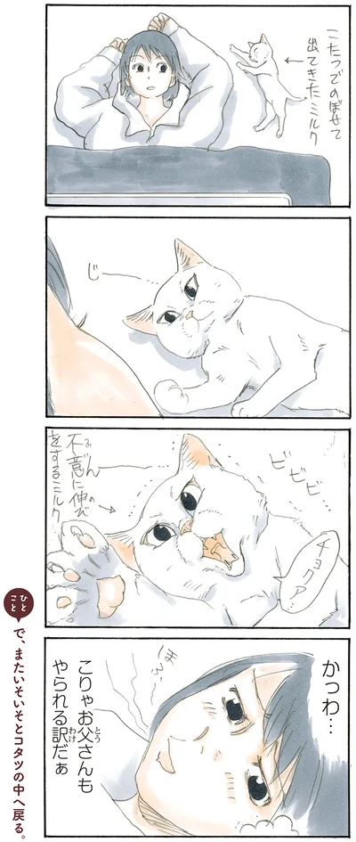 『拾い猫のモチャ2』より