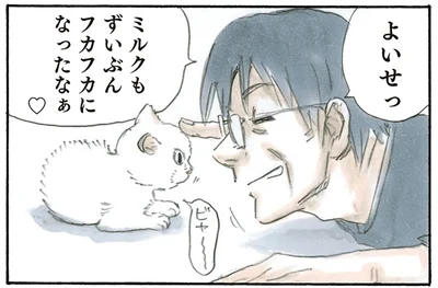 フカフカになったなぁ