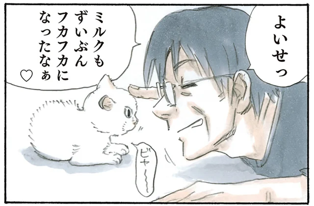 一番嬉しそうなのは母？ 子猫がやってきて外でのお酒の付き合いが減った父