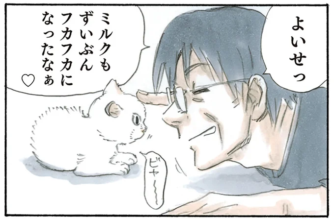 フカフカになったなぁ