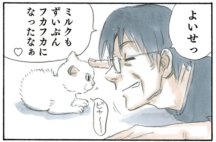 一番嬉しそうなのは母？ 子猫がやってきて外でのお酒の付き合いが減った父