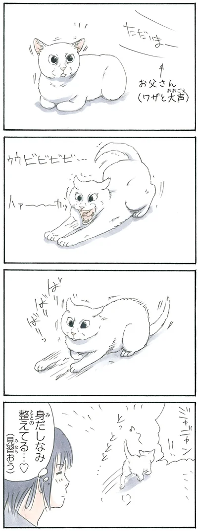 『拾い猫のモチャ3』より